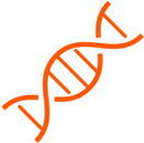 5-Dec-17-2025-07-54-14-7165-PM-1-1